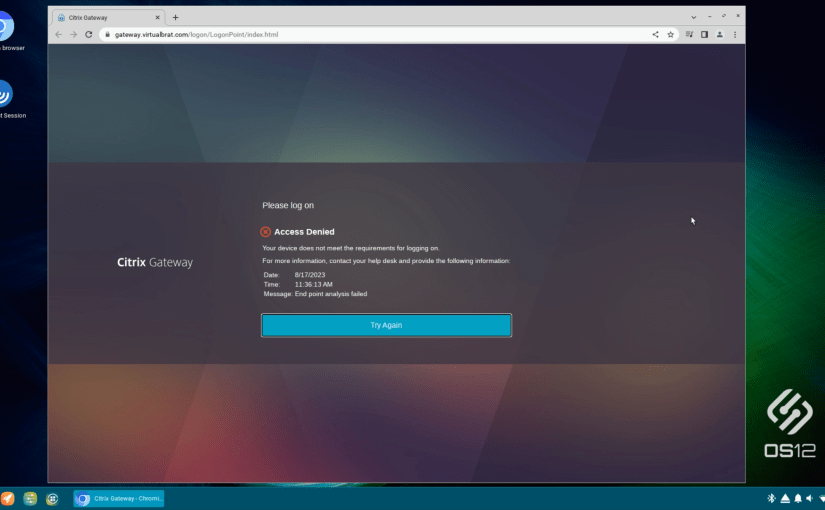 NetScaler Endpoint Analysis and IGEL OS – a nice way to protect your infrastructure from unauthorized access and to know that ONLY YOUR devices get&nbsp;access!